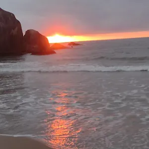 https://sintonia-do-mar.santa-catarina-brasil.com
